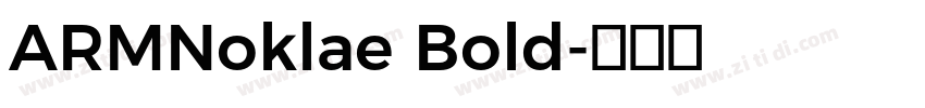 ARMNoklae Bold字体转换 ARMNoklae Bold字体转换